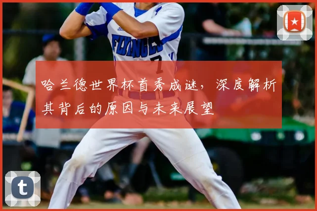 哈兰德世界杯首秀成谜,深度解析其背后的原因与未来展望
