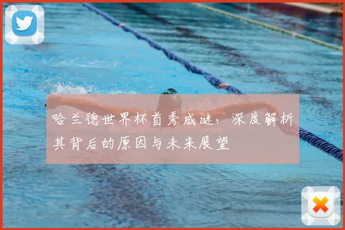 哈兰德世界杯首秀成谜,深度解析其背后的原因与未来展望